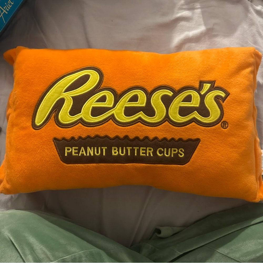Reese's Orange Decorative Pillow